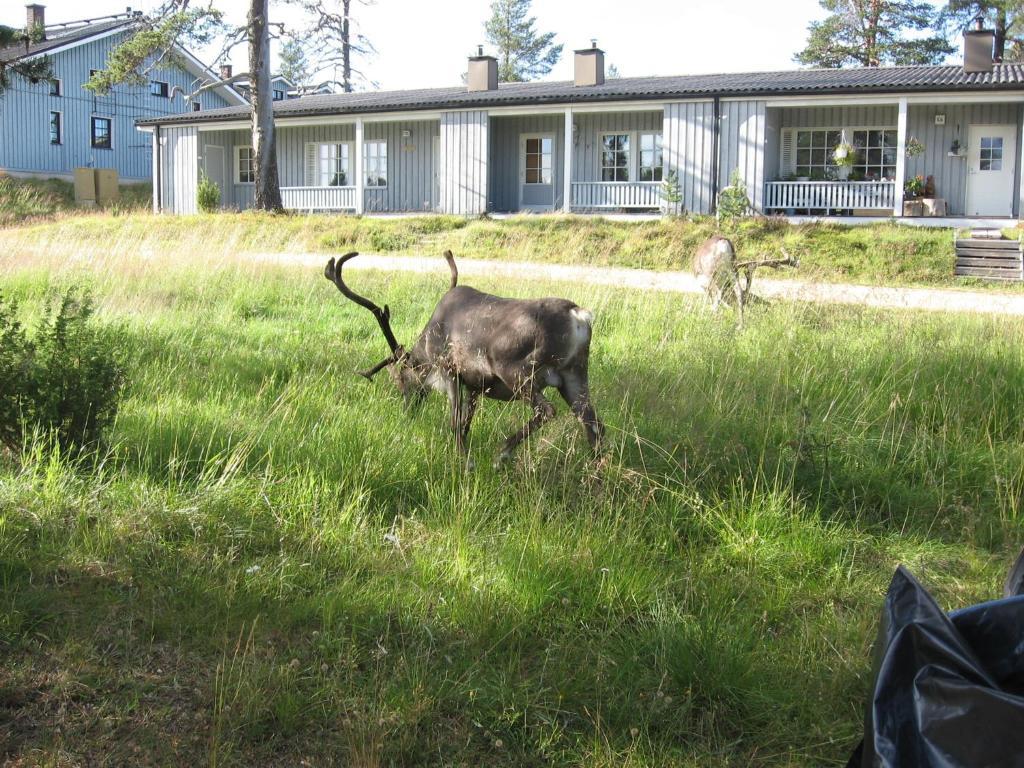 Aslak Apartment Saariselkä Exteriör bild